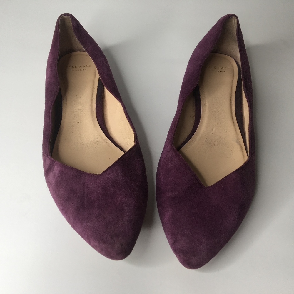 Cole Haan suede pointed toe flats